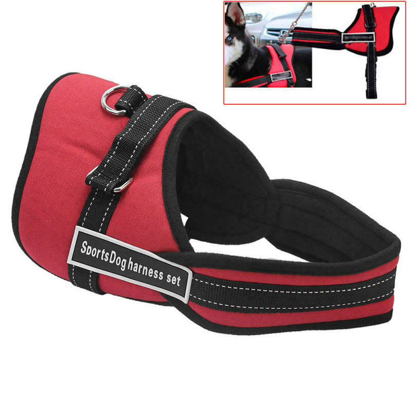 Adjustable Safety Car Seat Belt Sports Walking Pet Dog Chest Harness Set Red M