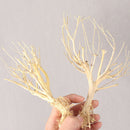 Terrarium Environments Small Aquarium Driftwood Snakes Landscaping Fish Tanks