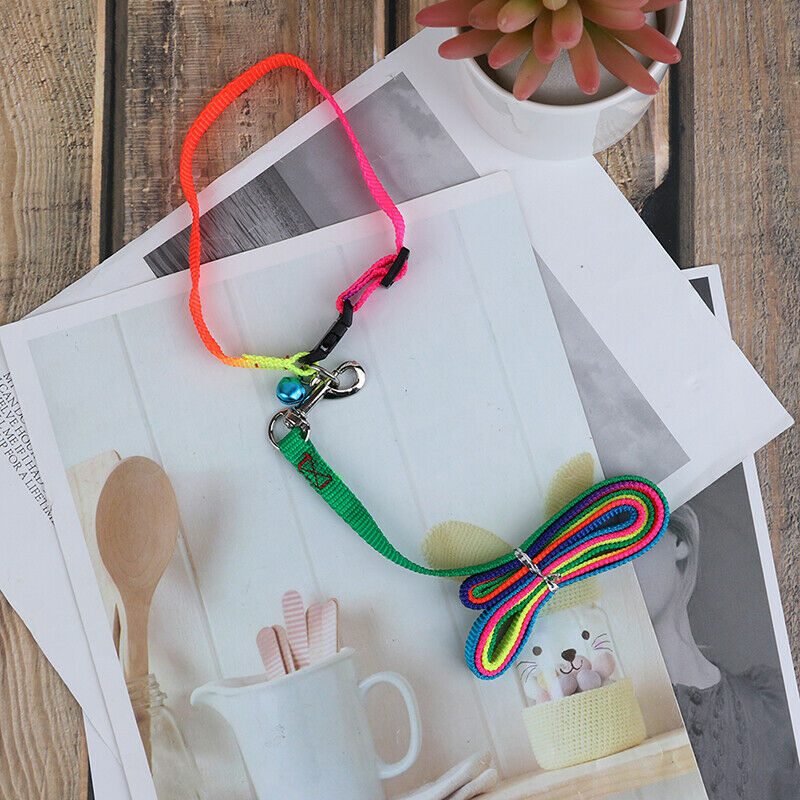 ColorfulRainbow Pet Dog Collar Harness Leash Soft Walking Durable Traction Rope`