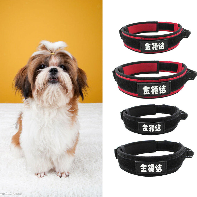 Dog Collar, Feed a Dog Durable Oxford Puppy and Dog Collar with D Ring