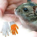 Hamster Bite Glove Rabbit Chinchilla Guinea Pig Bite Hot N6W8 V2N0 Protecti X9E2
