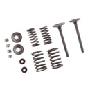 Upgraded Intake & Exhaust Valve Springs Kit For 110cc Dune Buggy  Bike
