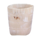 Head Massage Comb Scraping Head Gua sha Board Anti-hair Loss Treatment MeriSEAU