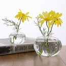 2 Piece Mini Pomegranate Glass Vase Handmade Flower Pot Glass Amber Flower Vases