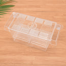 Fish Breeding Hatchery Young Fish Incubator Aquarium Breeder Isolation Box FT
