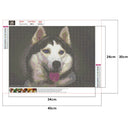 5D Diamond Painting Full Drill Dog DIY Cross Stitch Animal Pictures (WB016)