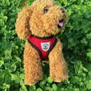 Adjustable Pet Dog Leads Chest Straps Small Pet Basic Halter Harnesses keep