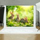 Photo Background Birthday Festive Party Photography Backdrops Background Cloth