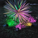 9 LED Waterproof Solar Spotlight Garden Lawn Ground Lighting Wall Lamp (B)