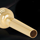 Trumpet Mouthpiece Replacement 17C Size Golden Plated Rich Tone Musician