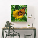 5D DIY Full Drill Diamond Painting Butterfly Embroidery Mosaic Craft Kit