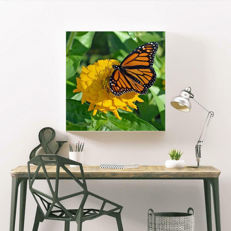 5D DIY Full Drill Diamond Painting Butterfly Embroidery Mosaic Craft Kit