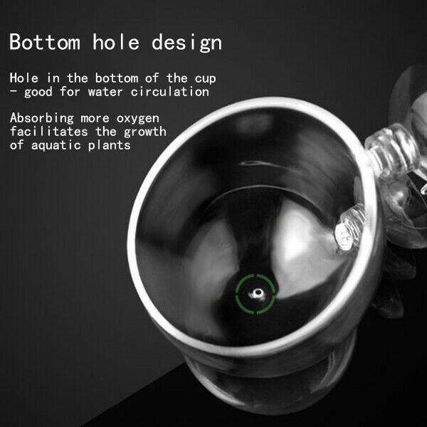 Aquarium Seeds Water Grass Pots Easy Aquatic Live Plant Fish Tank Decoratio Z1A3