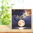 5D DIY Full Drill Diamond Painting Moon Embroidery Mosaic Craft Kit (z1563)