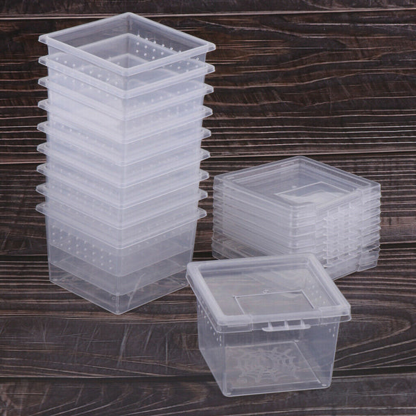 60pcs Clear Insect Reptile Spider Lizard Breeding Box Terrariums Container