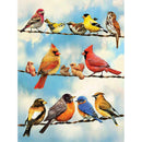 5D DIY Full Drill Diamond Painting Cross Stitch Home Decor Gift (A921 Bird)