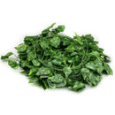 7.2FT Artificial Green Dill Leaf Garland Room Decoration Hanging Plant Leaf