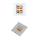 Speaker Wall Face Plate with 2+4 Golden Binding Posts Banana Plug, Pack of 4