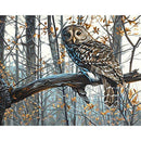 5D DIY Full Drill Diamond Painting Bird Cross Stitch Embroidery Mosaic Kit