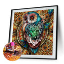5D DIY Diamond Painting Owl Rhinestone Kit Full Square Wall Picture (F043)
