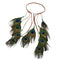 Peacock Boho Headband Feather Headpiece Peacock Costume Ethnic Wedding Women