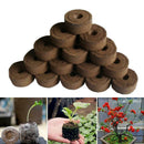 Peat Pellets Seed Starting Plugs Seeds Seedling Soil Compressed Mud Hot