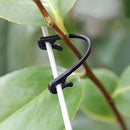 200pcs Self Locking Plant Vines Fastener Tied Hooks Vegetable Grafting Clips