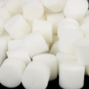 100Pcs Soiless Hydroponic Gardening Plant Tools Planted Sponge Vegetable Sys Ew