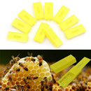 10Pcs Plastic Queen Bee Butler Cage Catcher Trap Case Beekeeping Tool S6I1