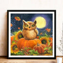 5D DIY Diamond Painting Pumpkin Full Round Rhinestone Halloween Art (B2333)