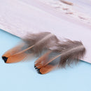50pcs/set pheasant feathers 4-8cm chicken plumes for carnival diy craft de BX