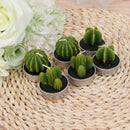 6Pcs Mini Tealight Candles Long Burning Unscented Succulent Tea Light Home Decor
