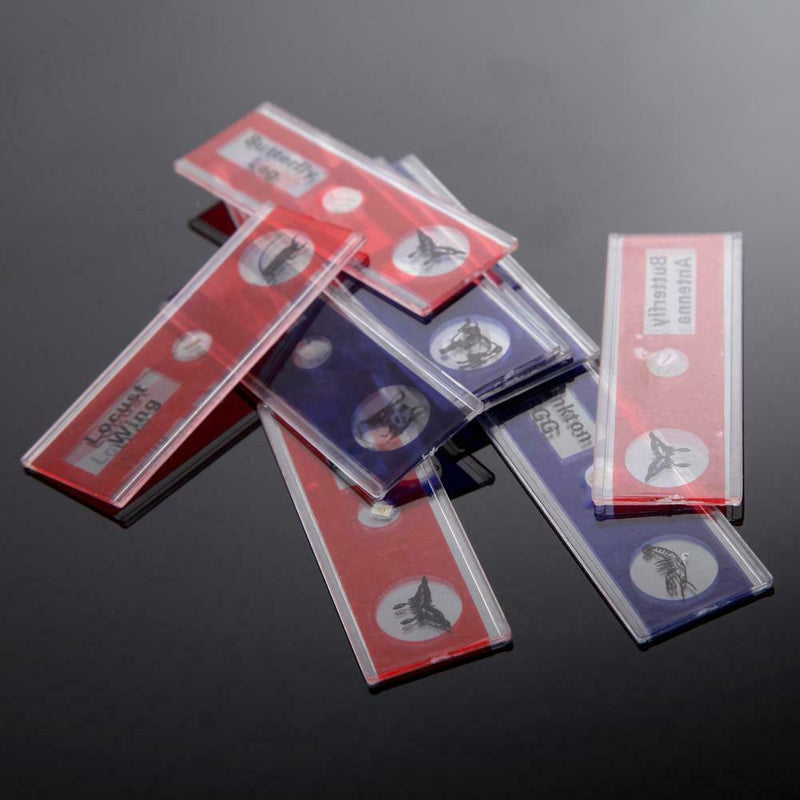 Prepared Plastic Microscope Slides Animals Insects Flowers Plants Student