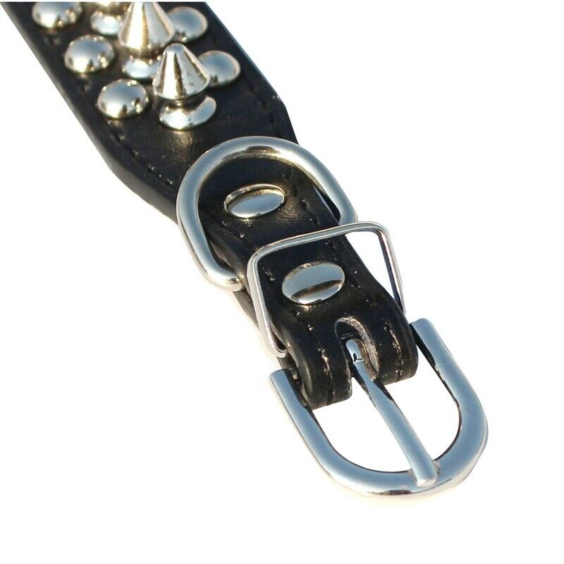 Leather Spiked Studded Dog Collar 1" Wide for Small/X-Small Breeds and Pupp