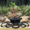 Anodized Aluminum Bonsai Training Wire 5-Size Starter Set-1.0Mm,1.5Mm,2.0Mm Q9H1