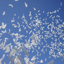 1PCS Flying Pigeon Bird Animal Helium Balloons 41inch Peace Dove Wedding Xmas gg