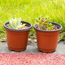 50X Plastic Raising Block Pots Nursery Pot Double Plant Seedling Holder
