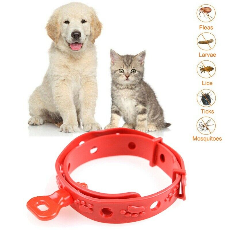 Cute Soft Pet Outdoor Protection Anti Mosquito Kill Flea Silicone Dogs Cats
