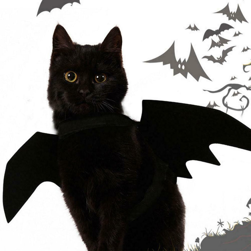 Wings Cute Costume Bat Halloween Cat Up Pet Dog Fancy Black Dress Vampire