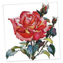 Counted Cross Stitch Kit Rose Flower 14CT Without Pre-printed Fabric 43x44cm