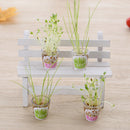 Creative Cultivate Plant Gel Pen Garden Grow Grass Pens Children Stationery Gift