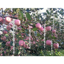 8pcs Bird Repellent Wind Twisting Scare Rod Reflective Ornamental Deterrent Rods