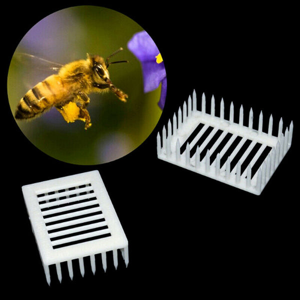 Plastic Queen Marker Cage Clip Bee Catcher Beekeeper Beekeeping Tools Equipm  OZ