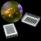 Plastic Queen Marker Cage Clip Bee Catcher Beekeeper Beekeeping Tools Equipm  OZ