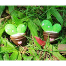 2x Artificial Succulent Plants Mini Succulents for Tabletop Office Home C