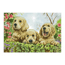 Handmade Stamped Cross Stitch Kit 11 Count Embroidery Kits for Home Decor