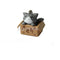 1pc Lovely Cartoon Cat In The Box Cell Phone Charm at Random M&O