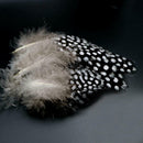 100PCS High Quality Guinea Fowl Feather Christmas Wedding Home Decoration GJD