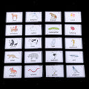 80PCS KIDS LANGUAGE EARLY EDUCATIONAL SIGHT WORDS FLASH CARDS COGNITION CARDS