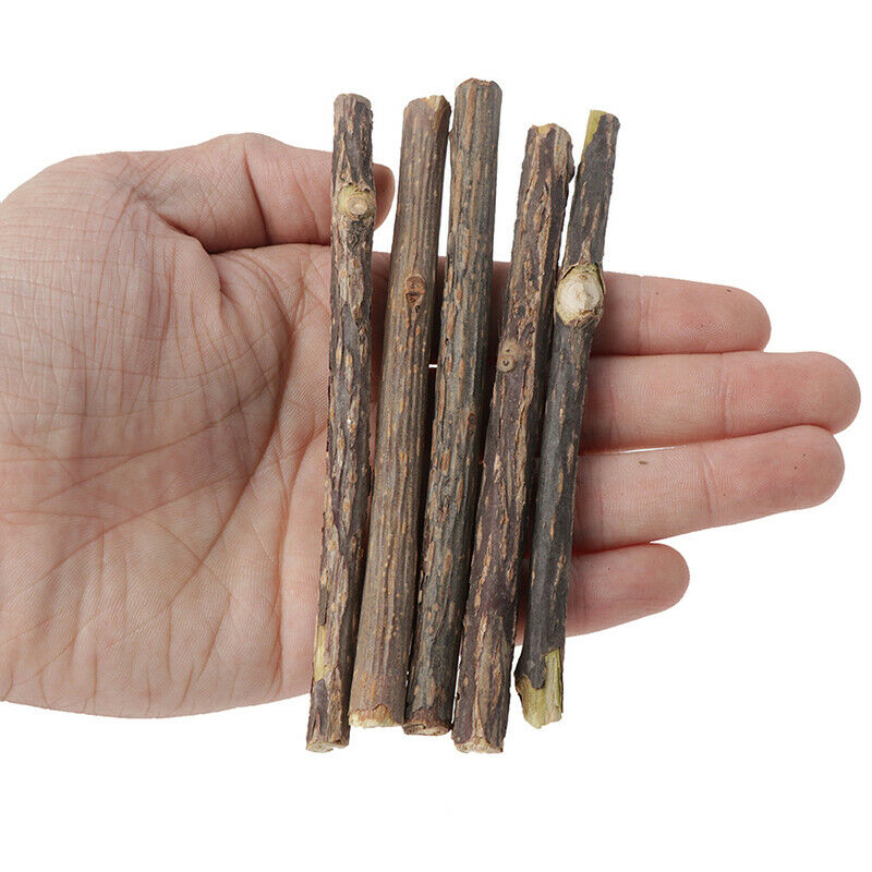 5 pcs Cat Cleaning Teeth Pure Natural Catnip Stick Pet Molar Toothpaste Snacks3C